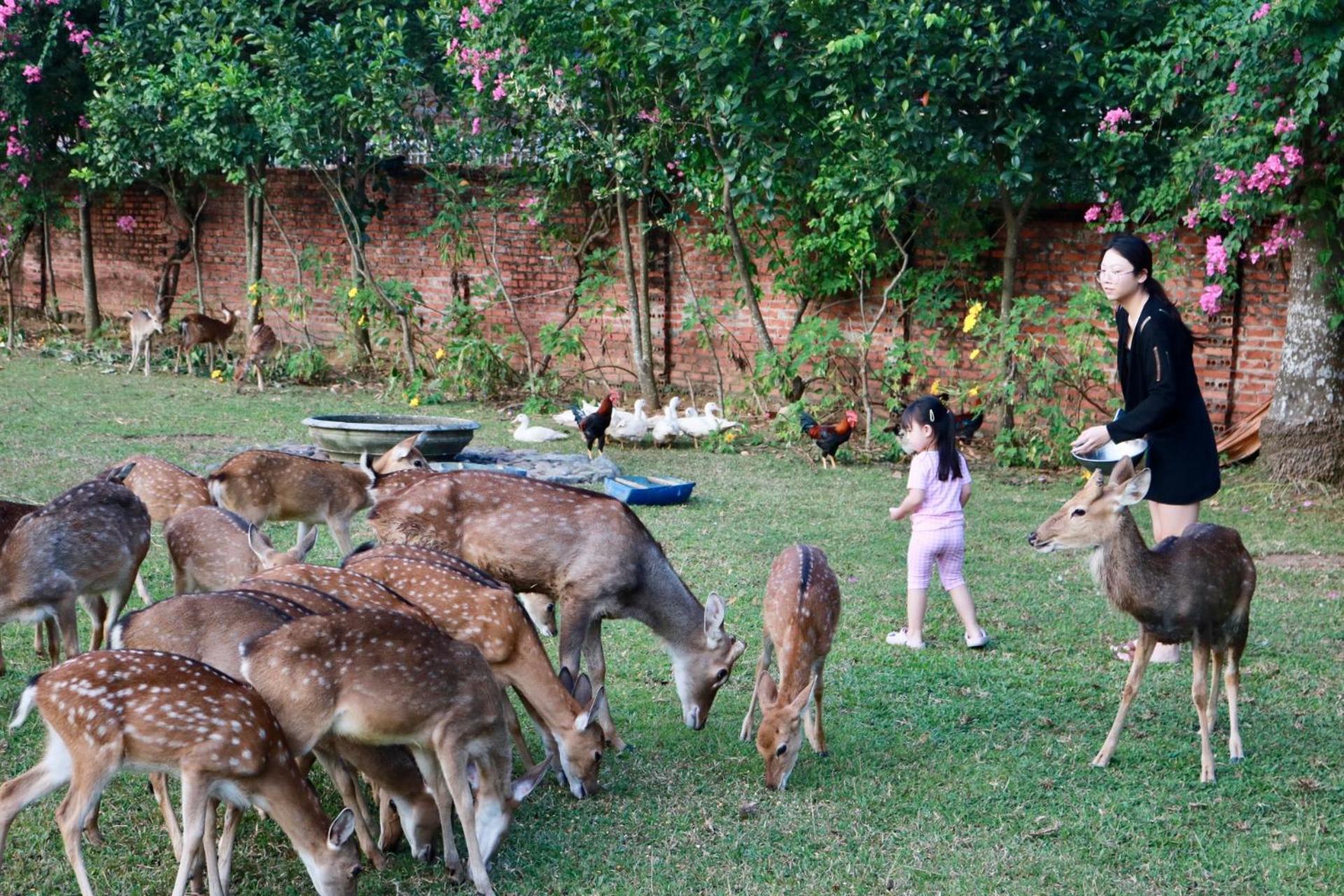 Asean Resort - Shiki Onsen & Spa Hanoi Eksteriør bilde